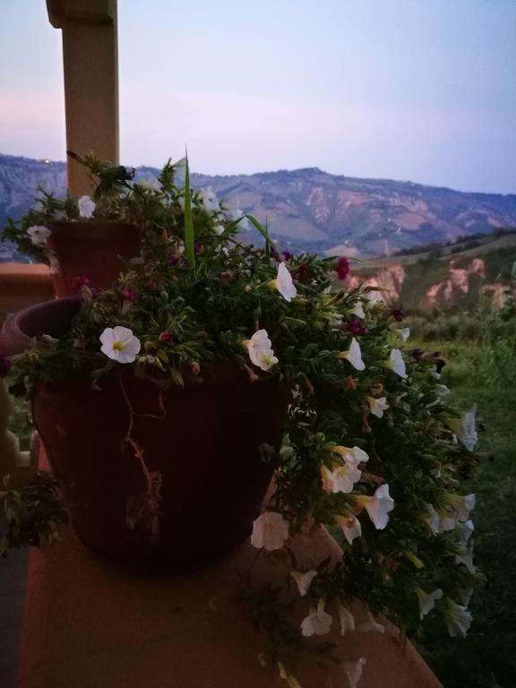 Dimora Villa Agreste Castilenti 外观 照片